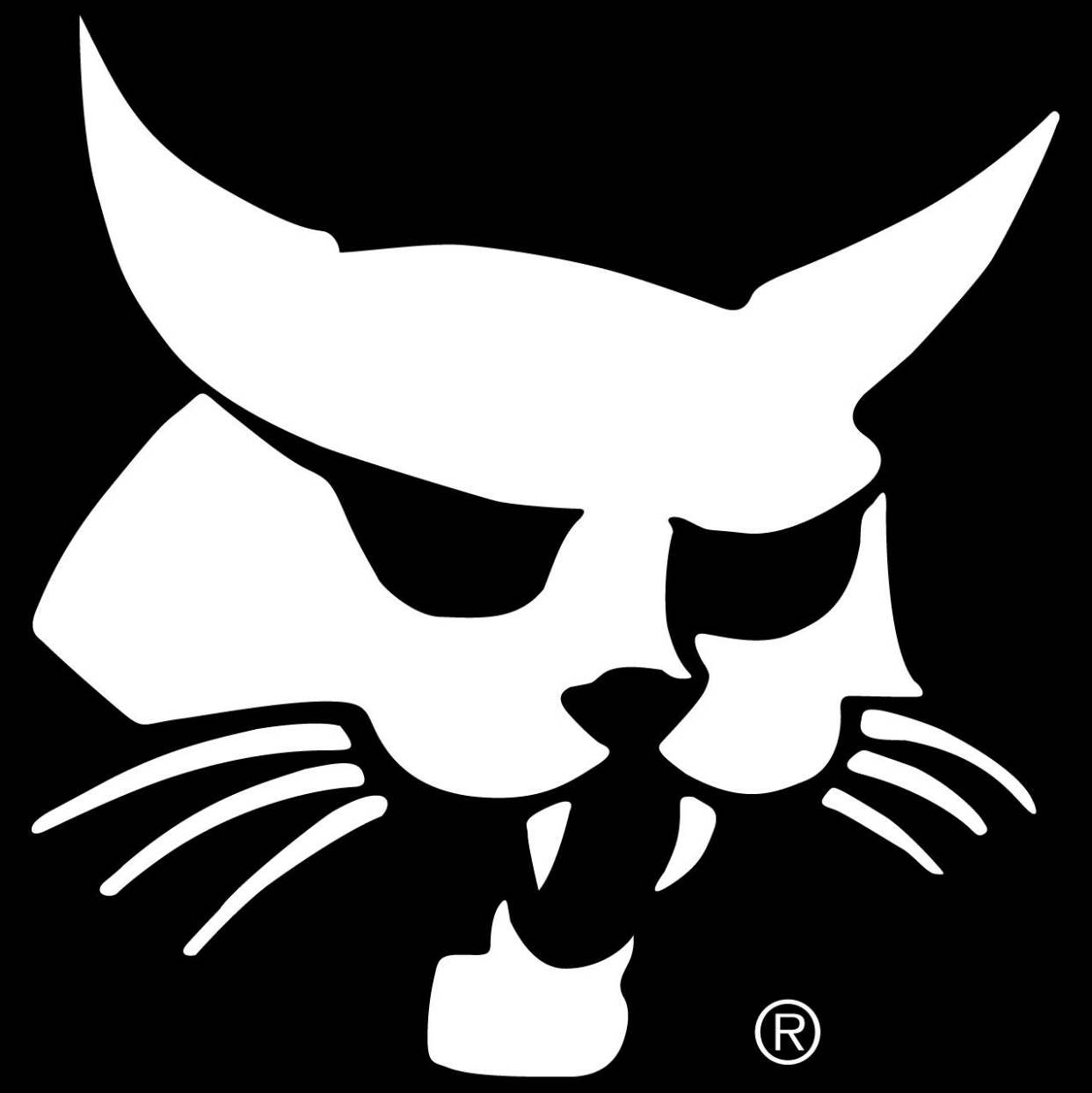 Profile of Bobby Stayer