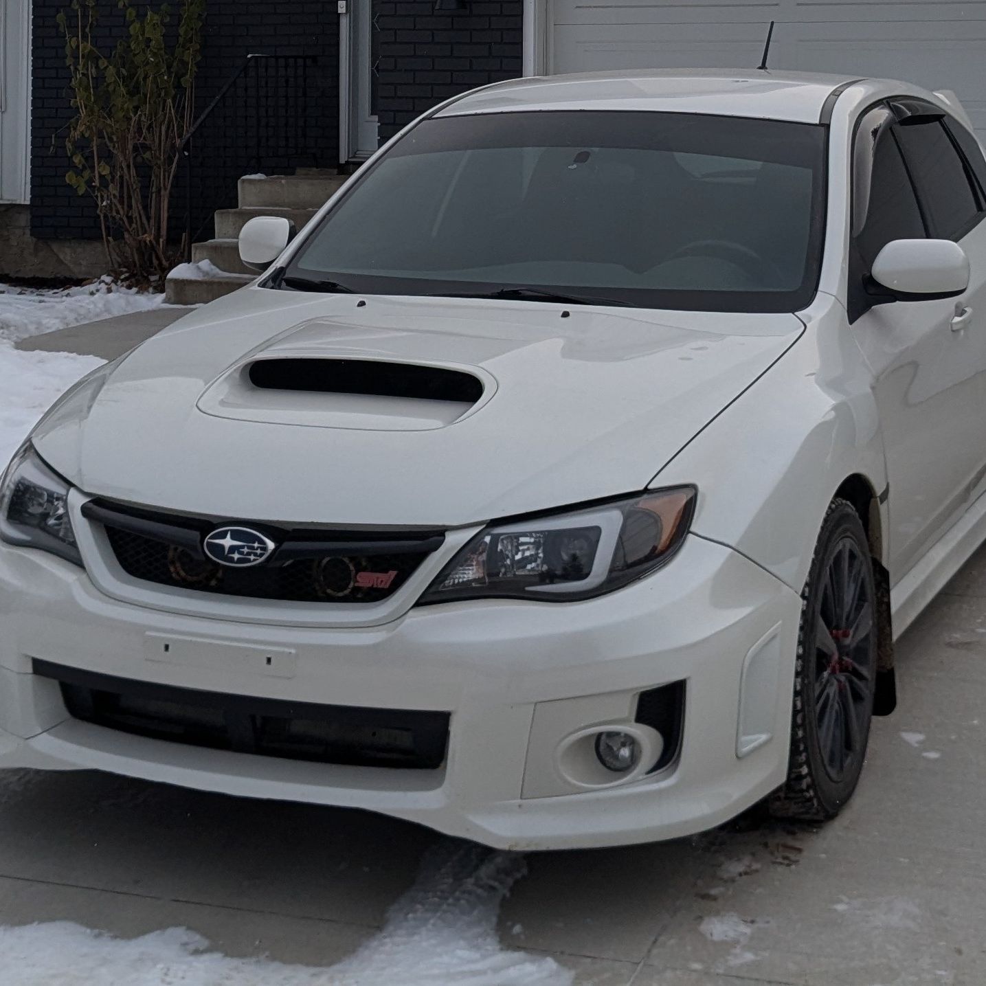 Profile of Matthew Couchot