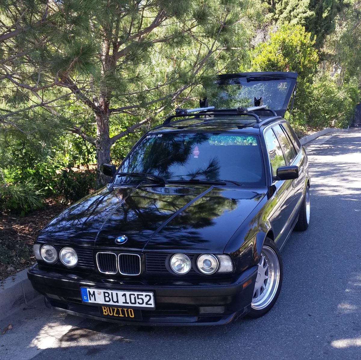 Profile of Jose Ramos