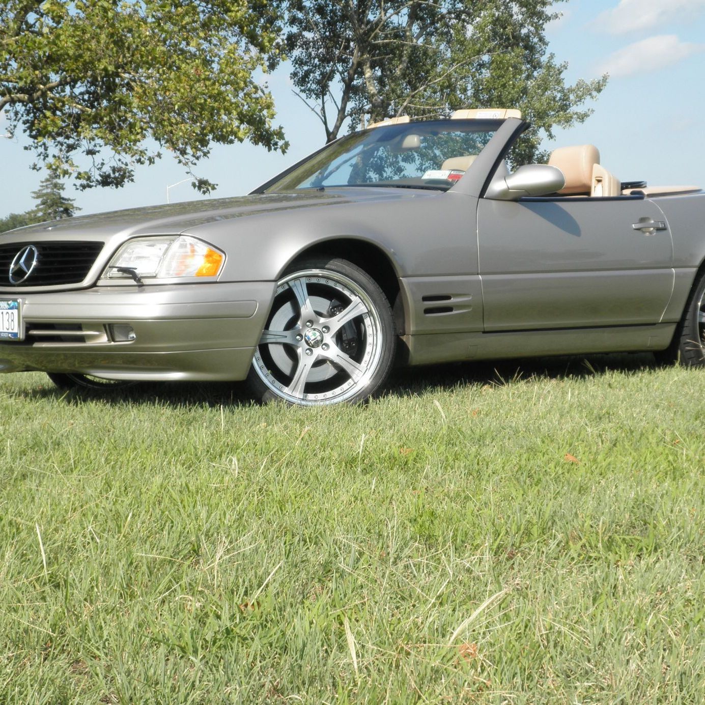 Profile of Dan Marus