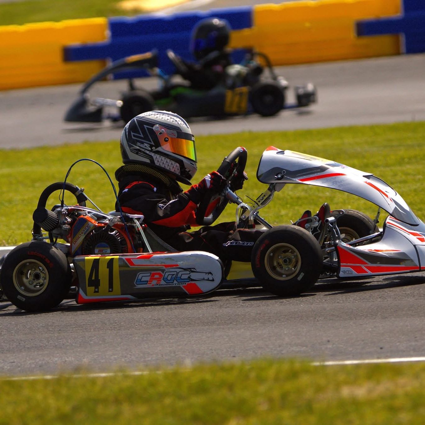 Profile of Beau Bird