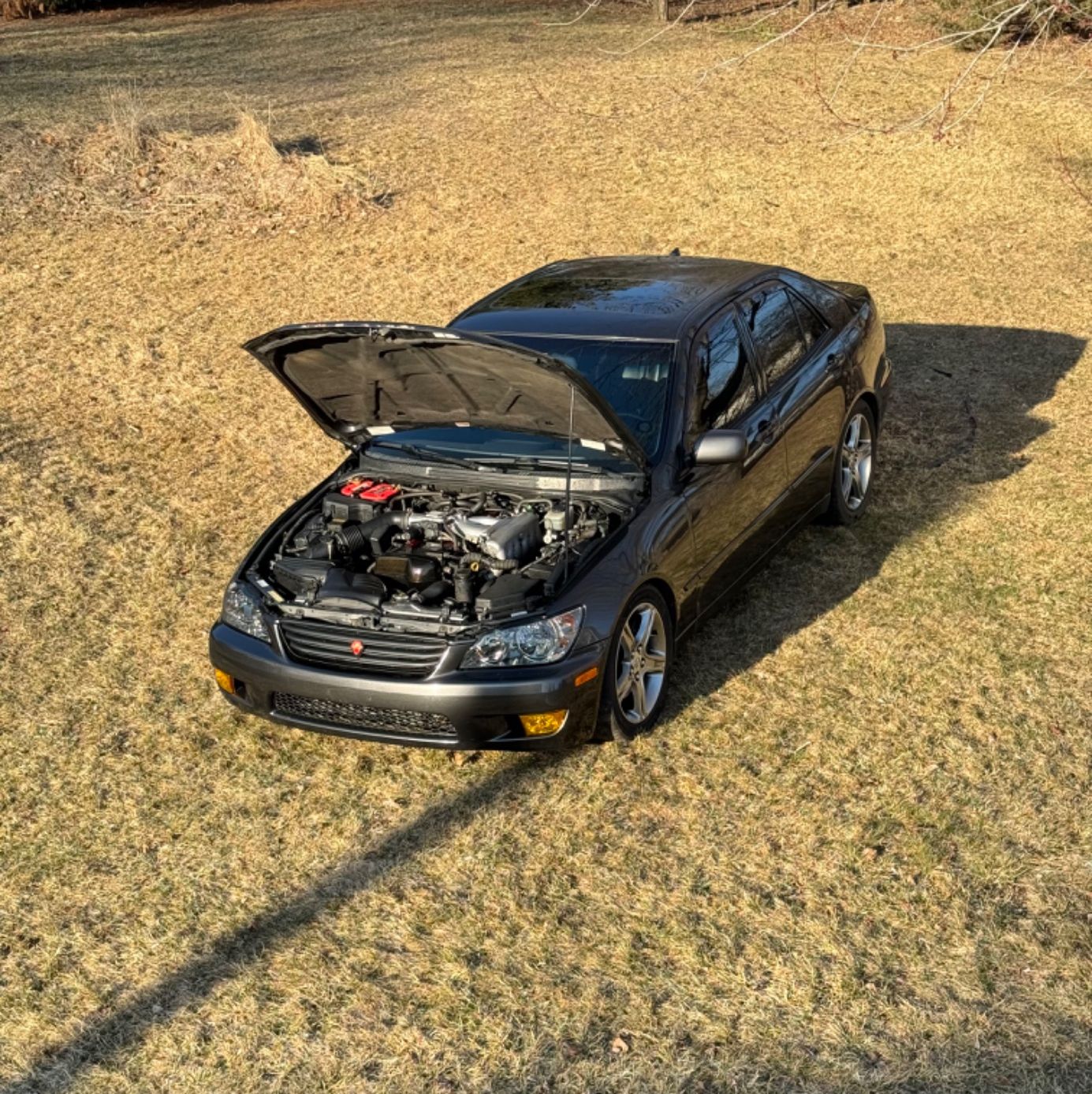 Profile of Carter Stapleton