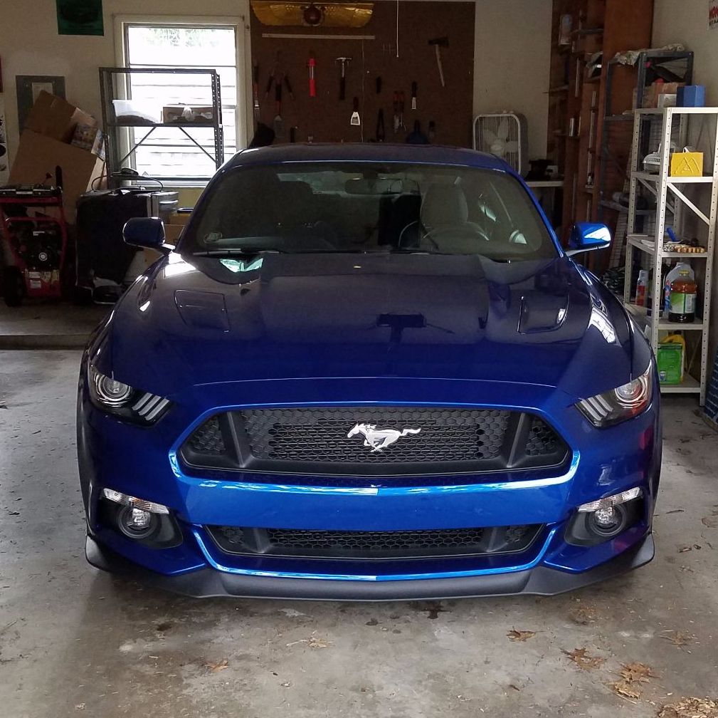 Profile of Alex MacAllister