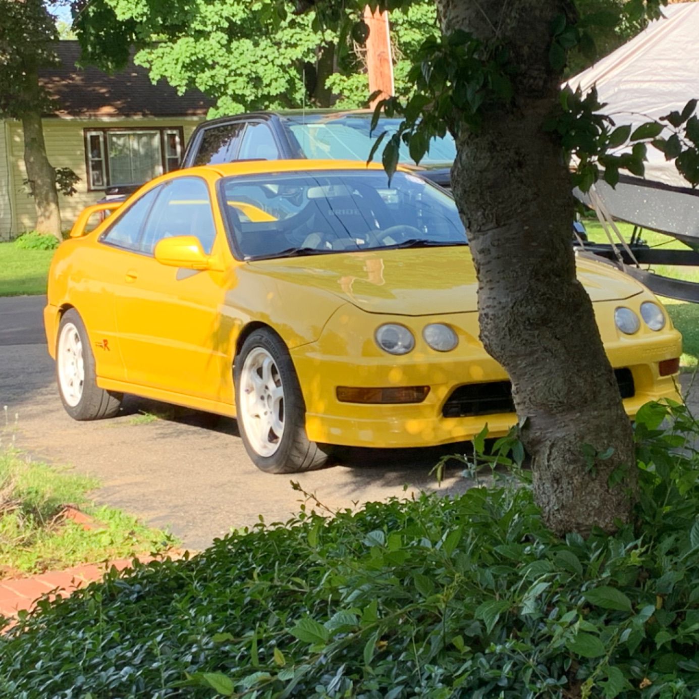 Profile of Sean Sujko