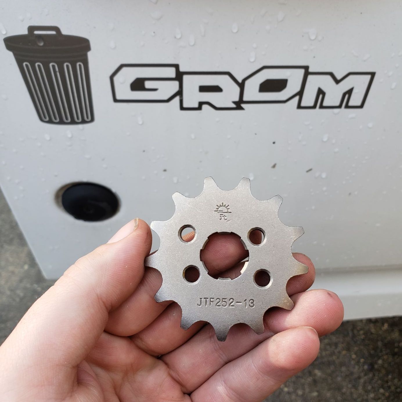 Profile of Nicholas Cesar