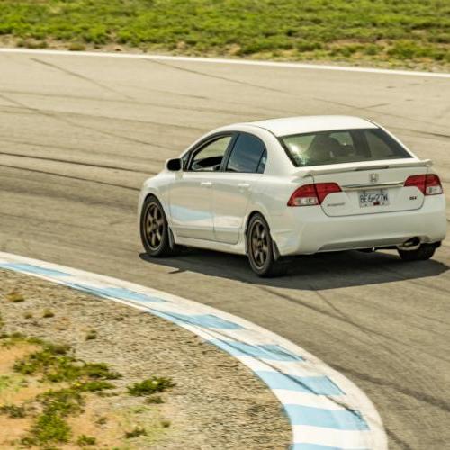 Profile of Shane Jensen