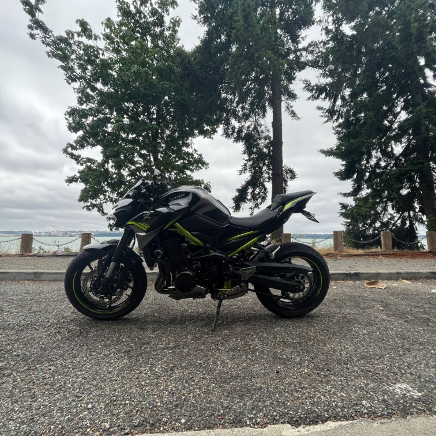 Profile of Dean Abiva