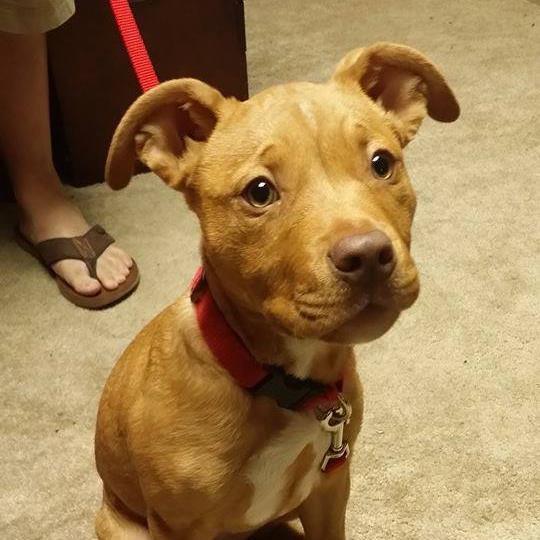 Profile of Kevin Bui