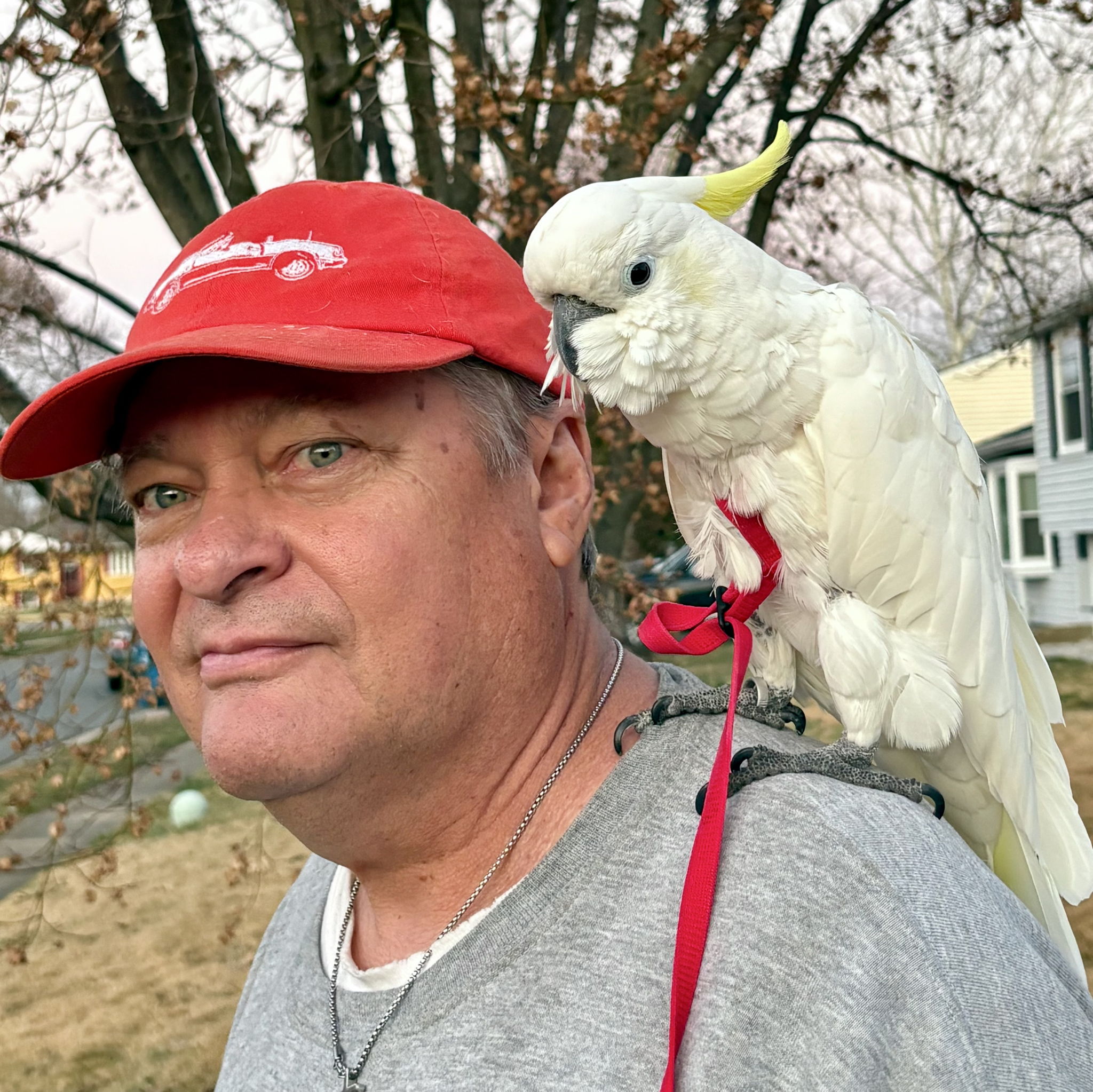 Profile of Daniel Hill