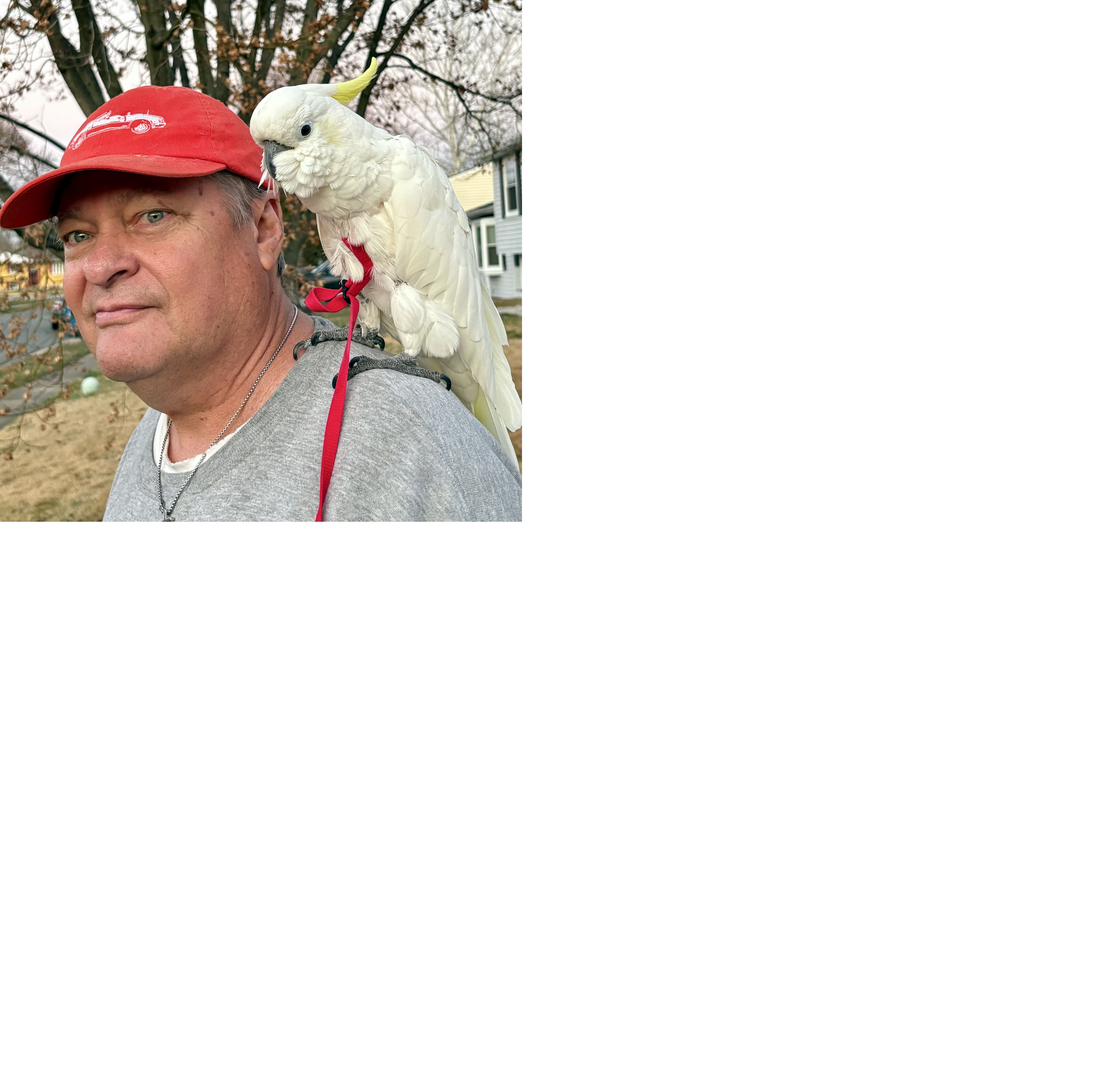 Profile of Daniel Hill