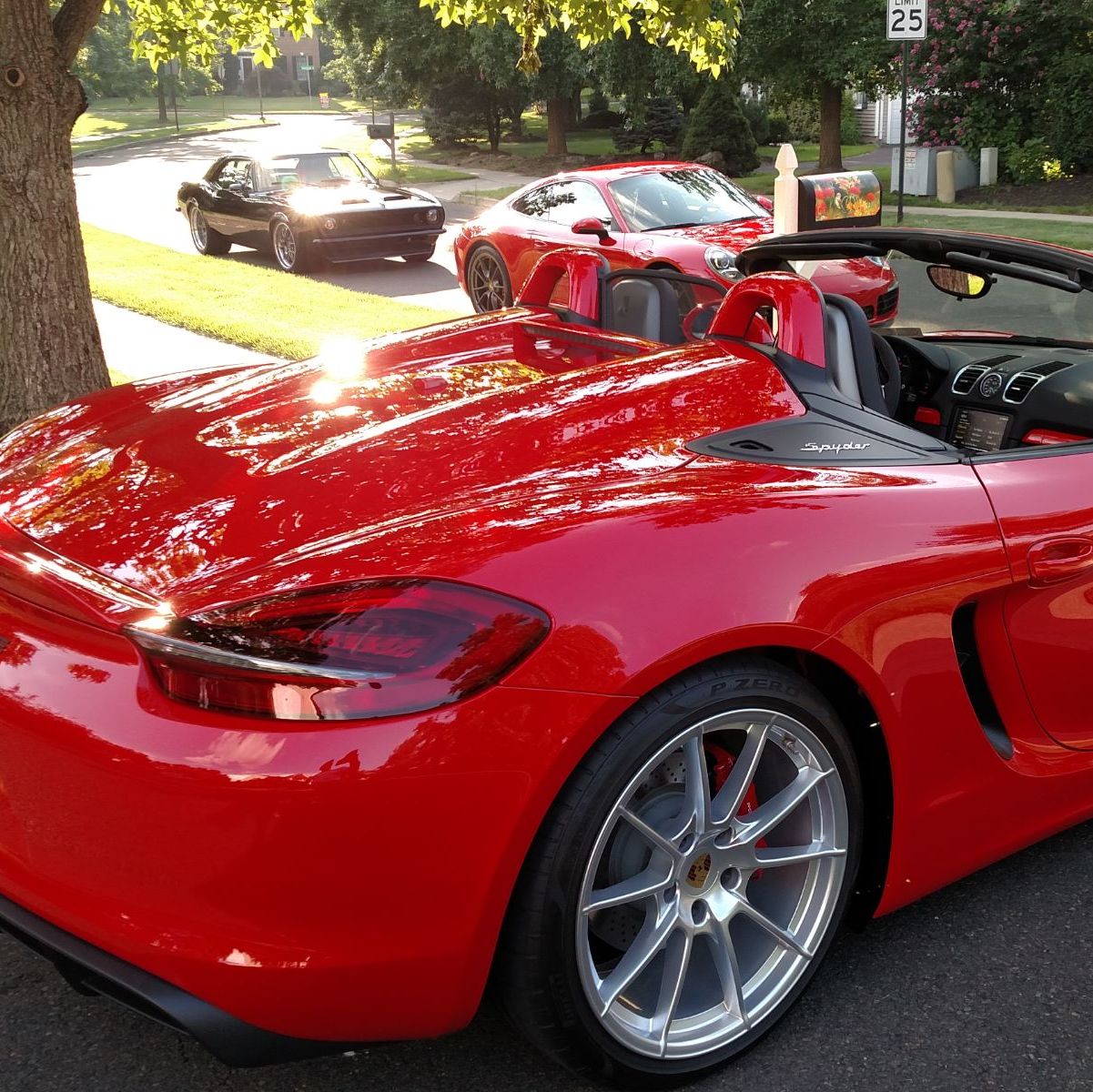 Profile of Len Schwartz