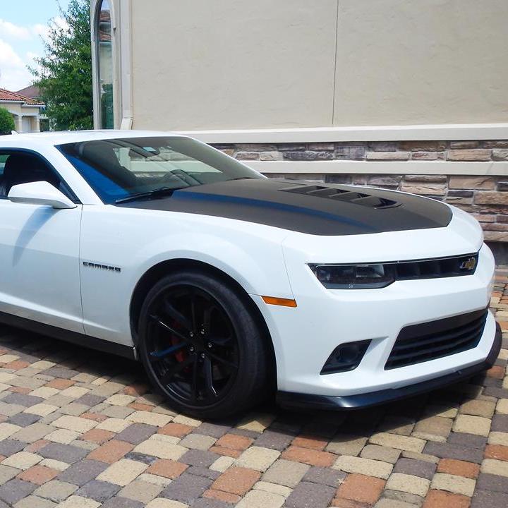 Profile of Gregg Czubik