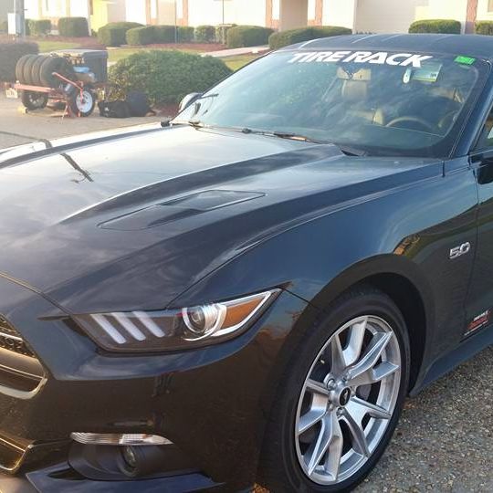 Profile of Rob Arbitelle