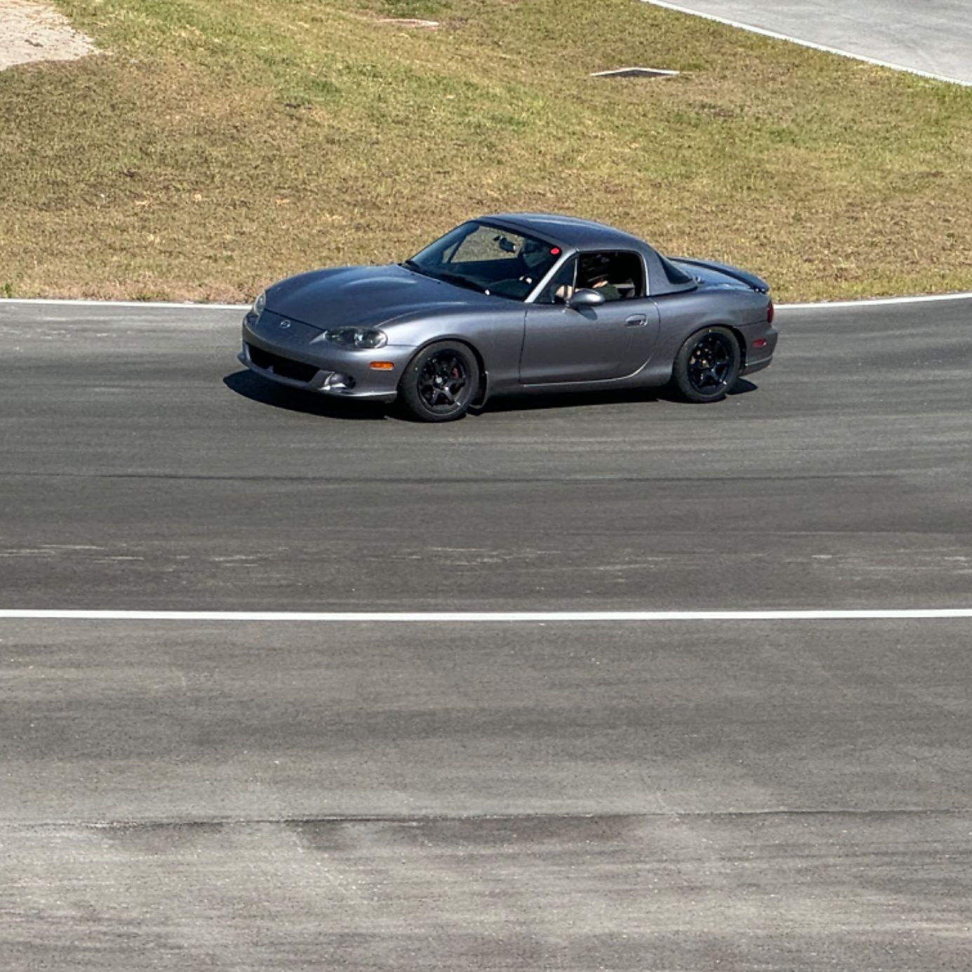 Profile of Alexander Wallis