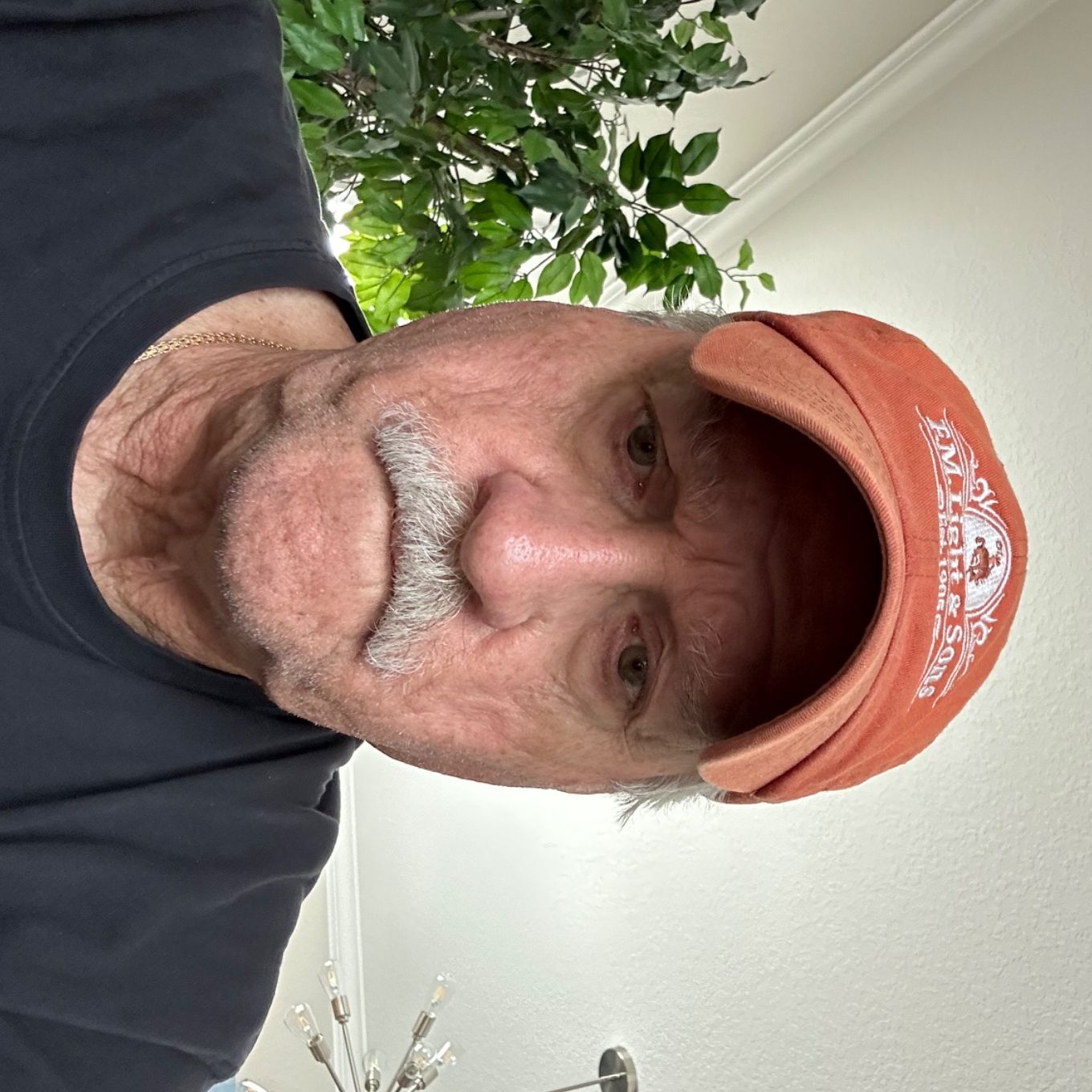 Profile of Rob Dandrea