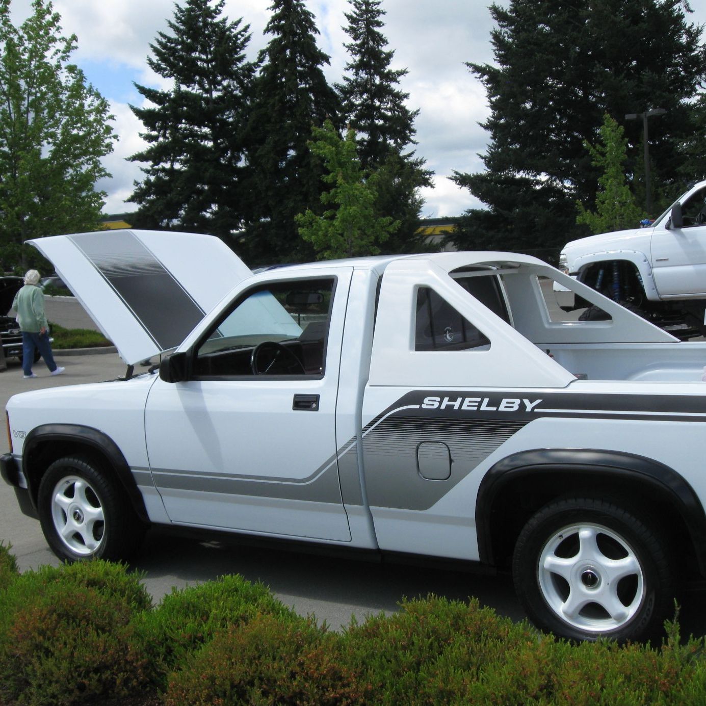 Profile of Dan Mathewson