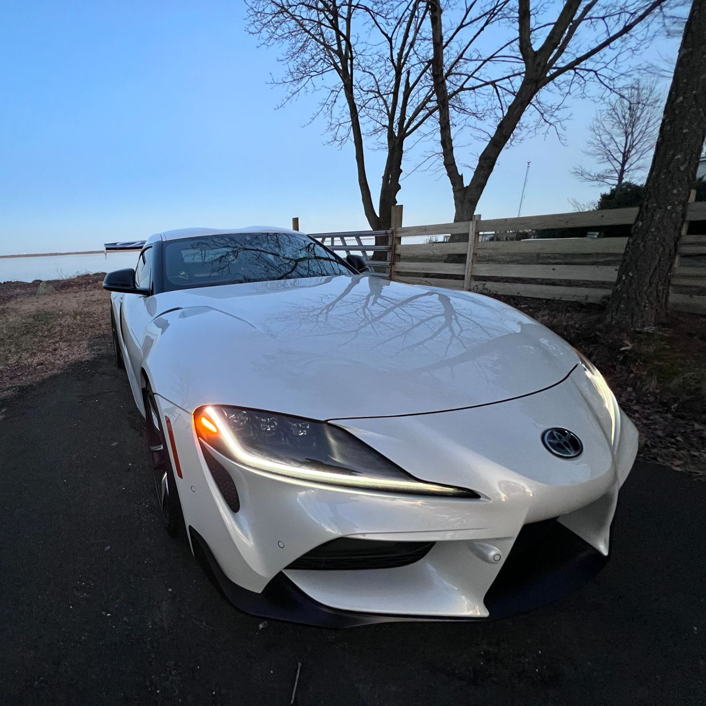 Profile of Ameer Mir