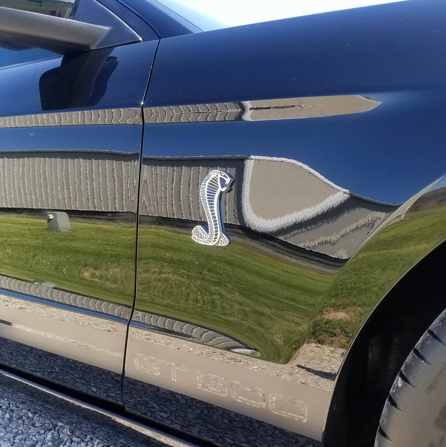 Profile of Dale Kelley