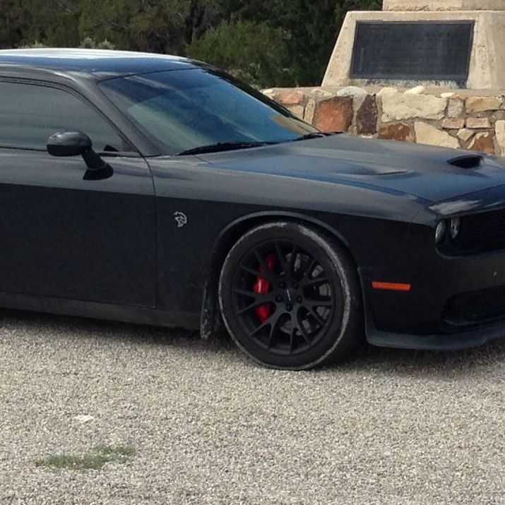 Profile of Frederick Cho