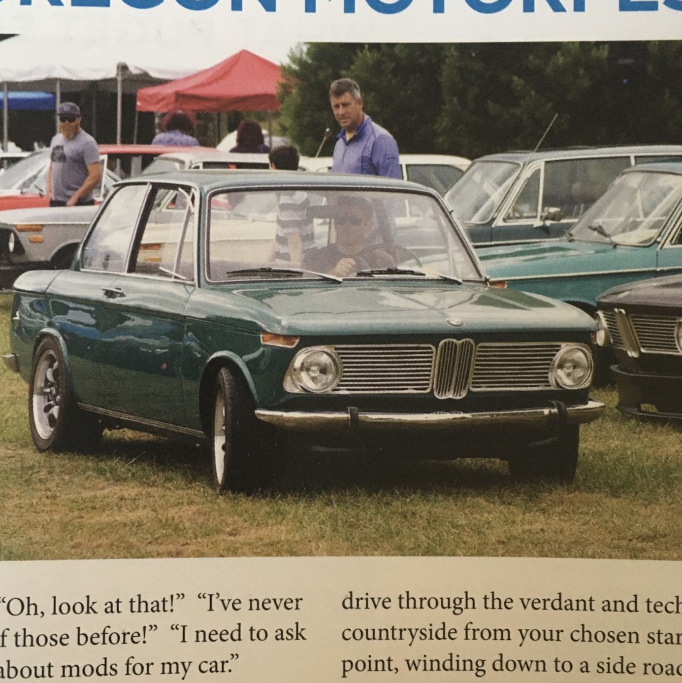 Profile of MARK WALSH