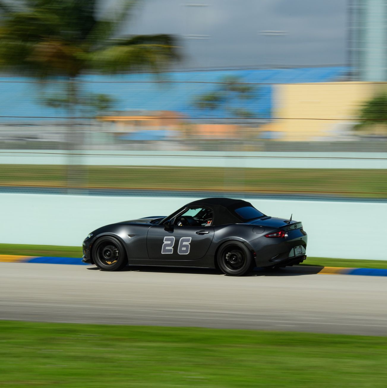 Profile of Alin Buleu