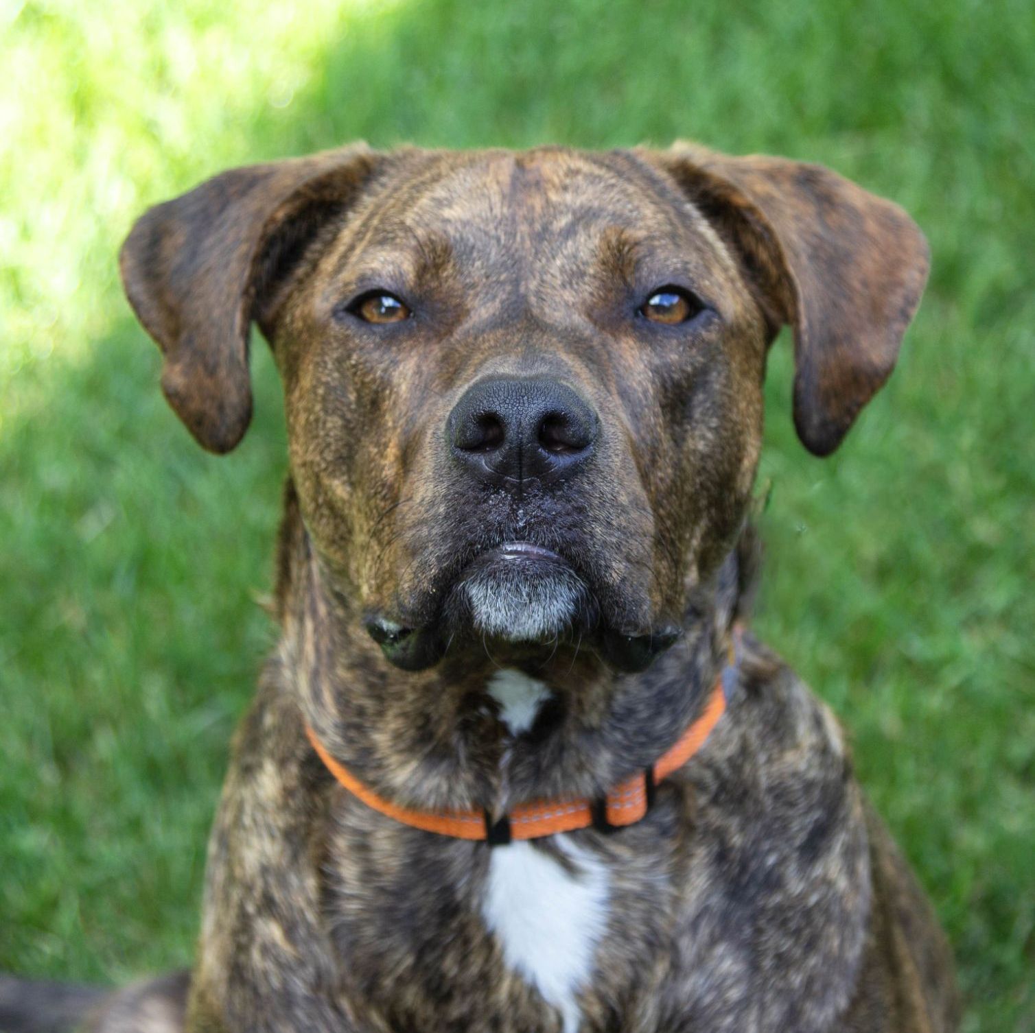 Profile of Alexandra Milosz