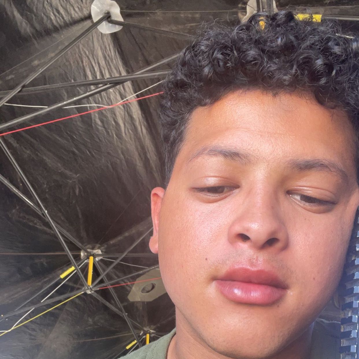 Profile of Steve Tolentino