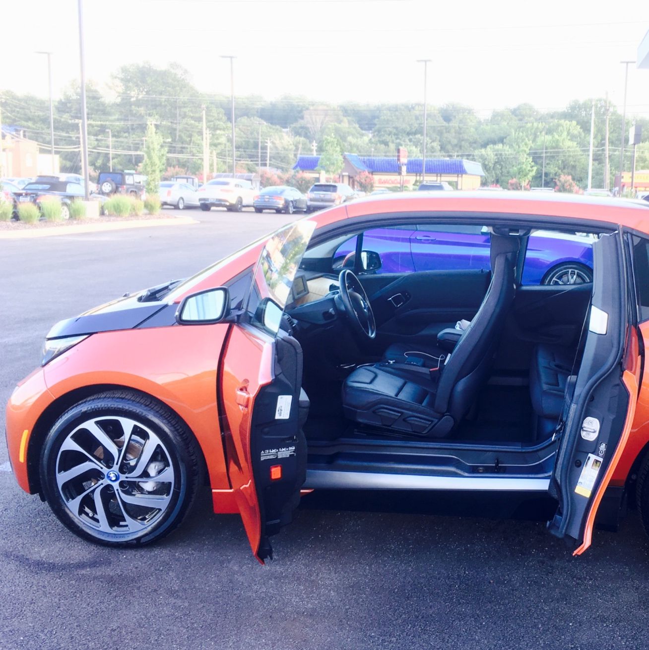 Profile of Tam Vander Schaaf