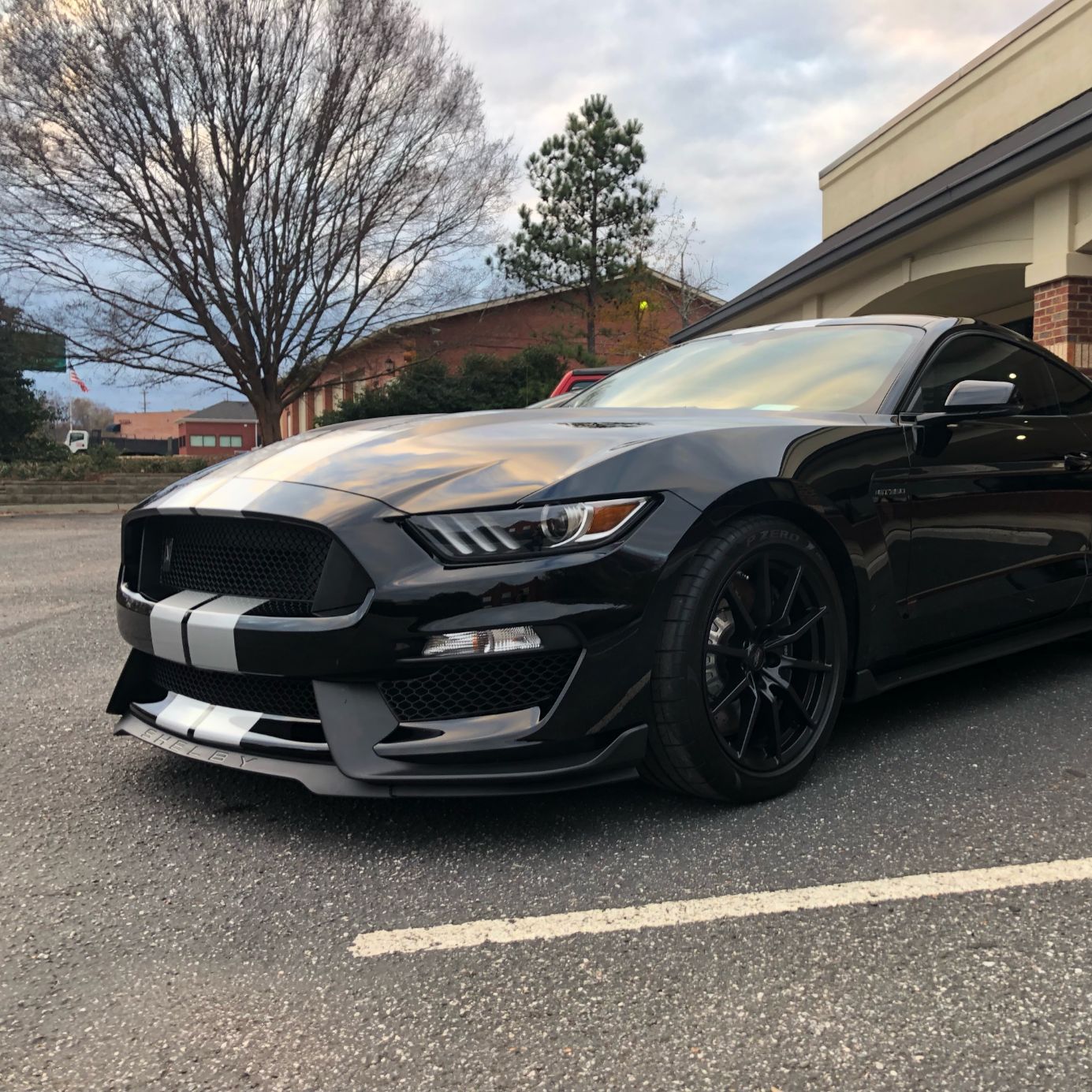 Profile of Daniel Membrillo