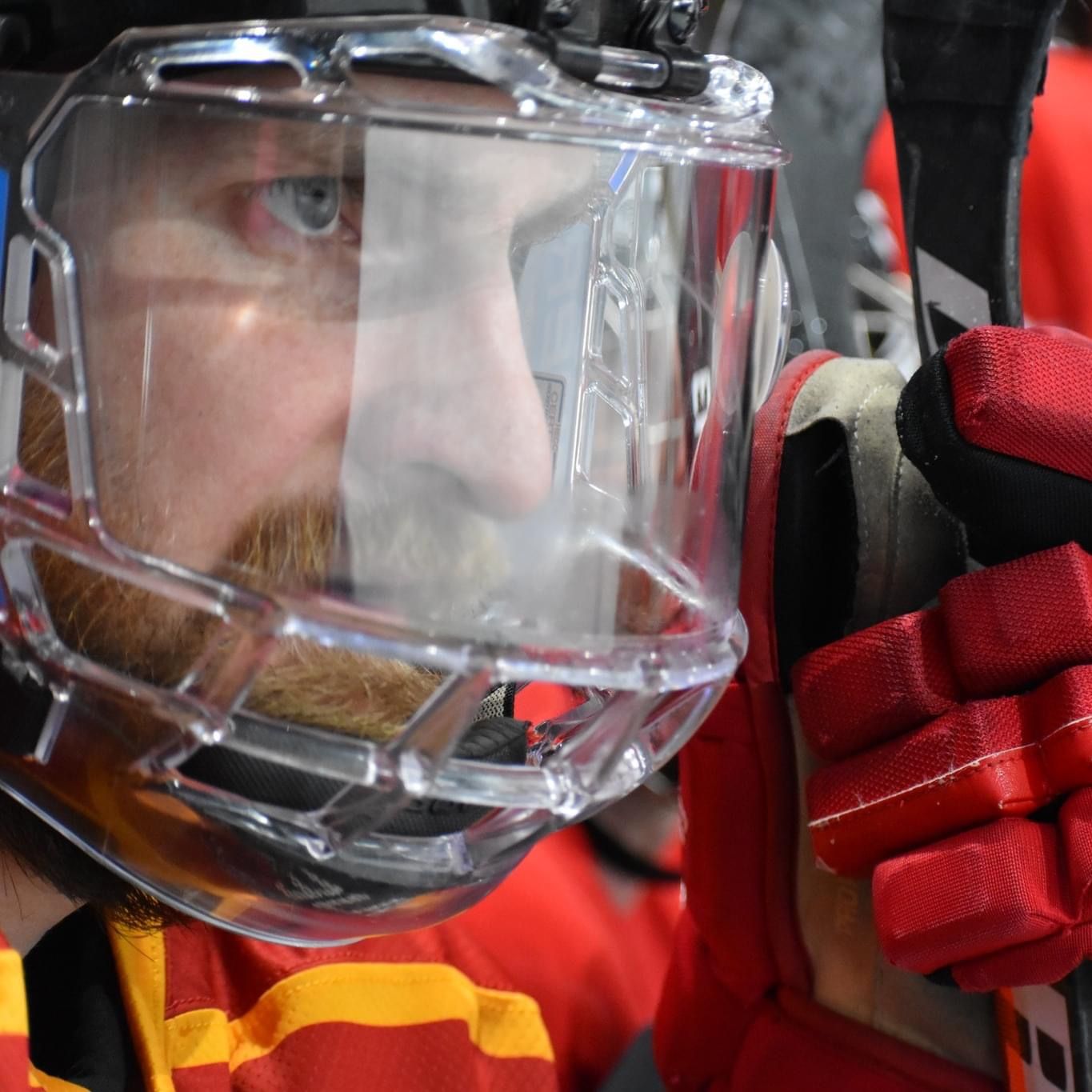 Profile of Cody Watson