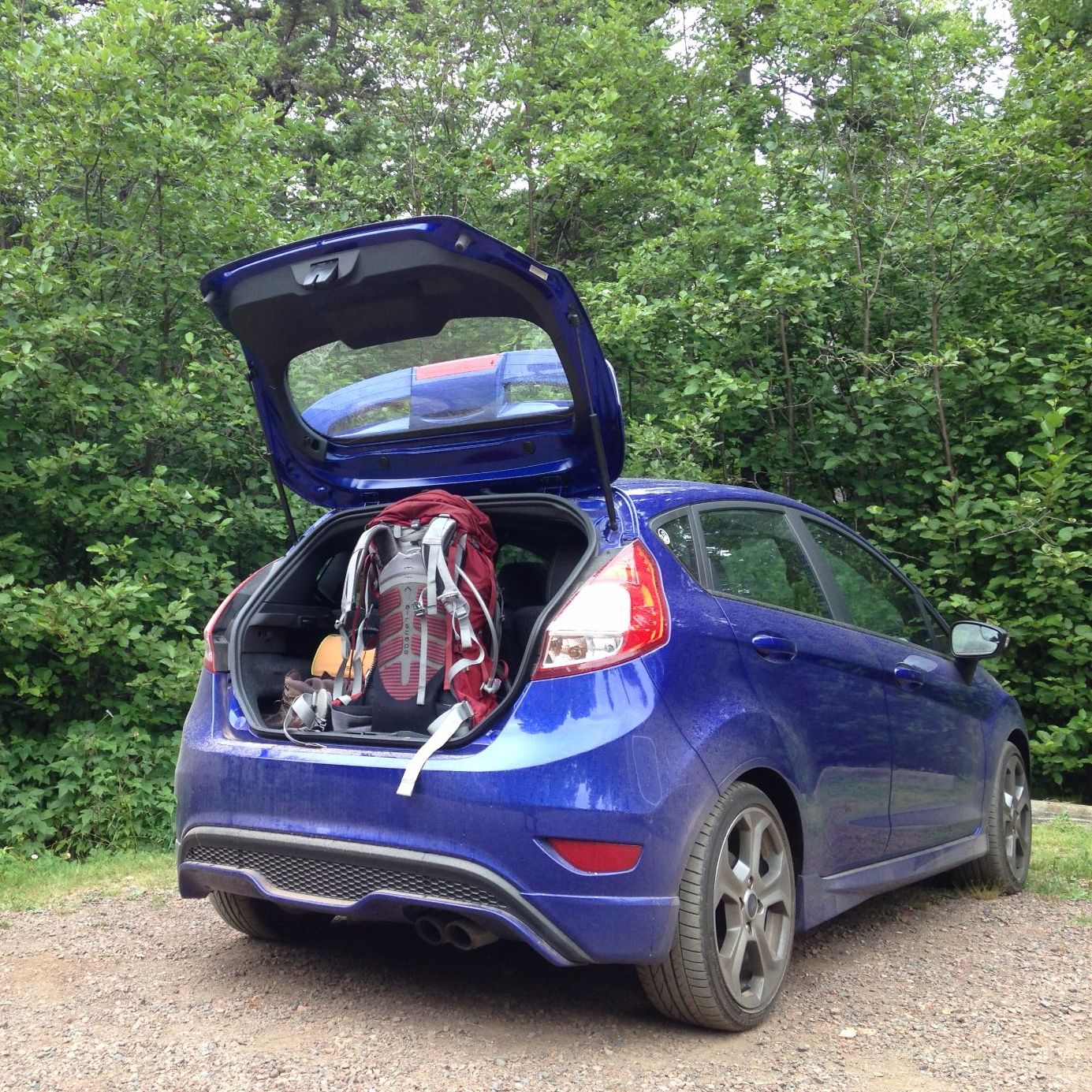 Profile of Michael Hall