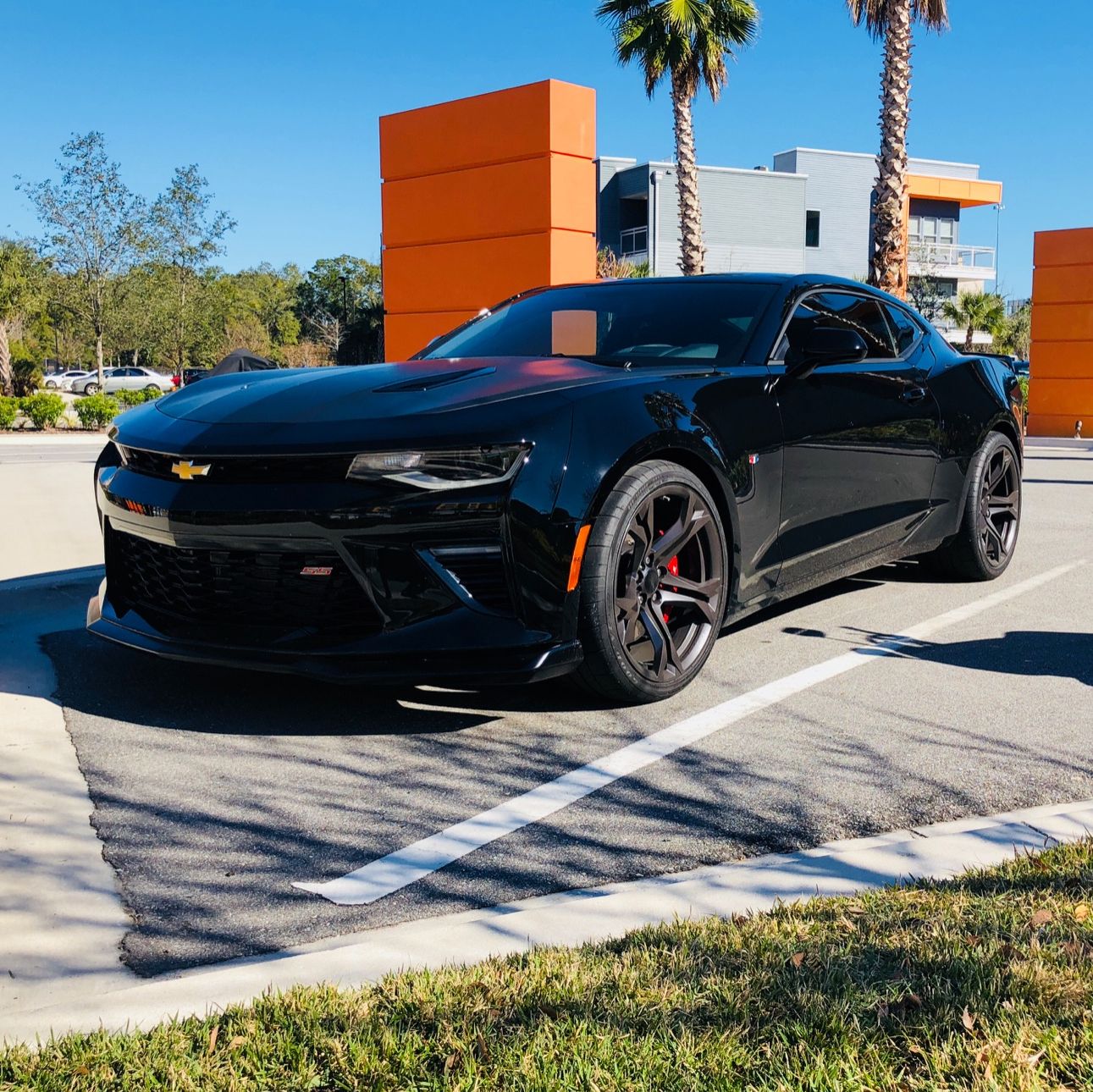 Profile of Rami Bahloul