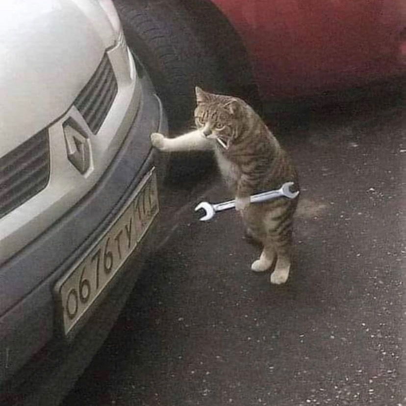 Profile of Jared Thomas