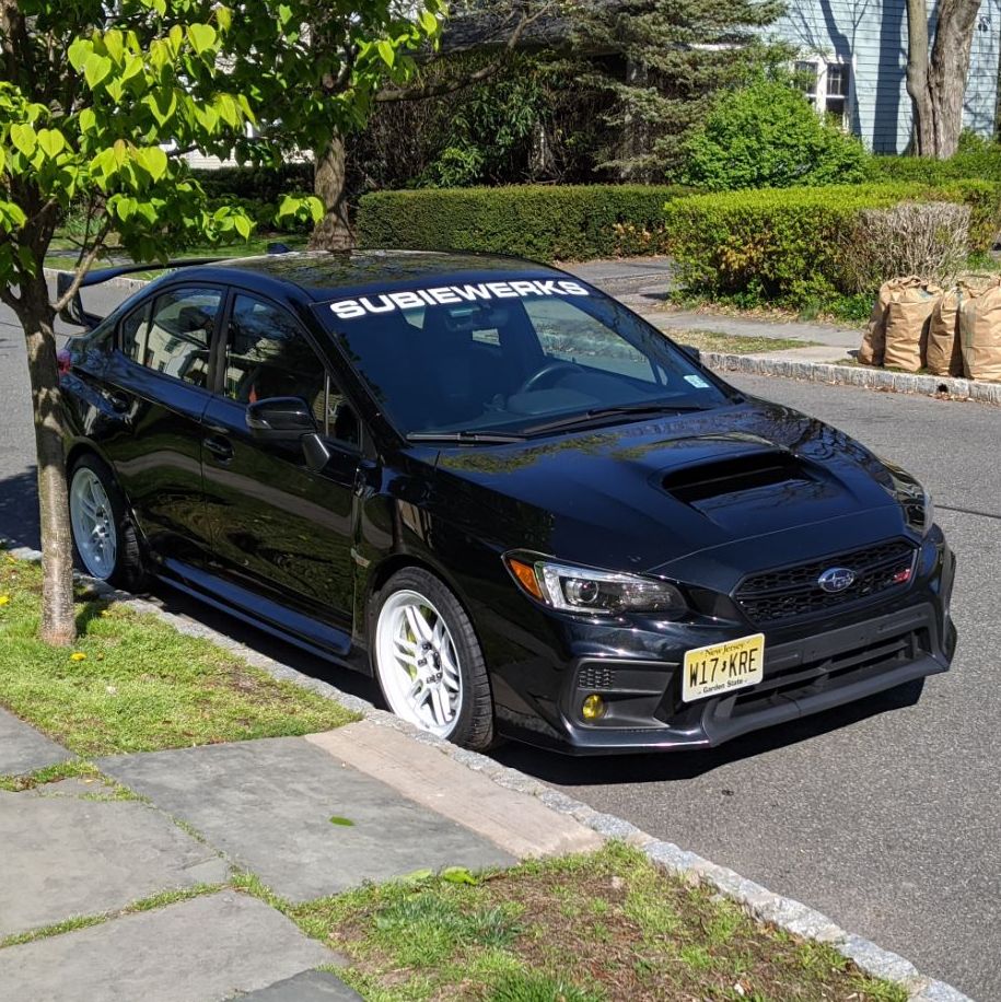 Profile of Peter Anthony