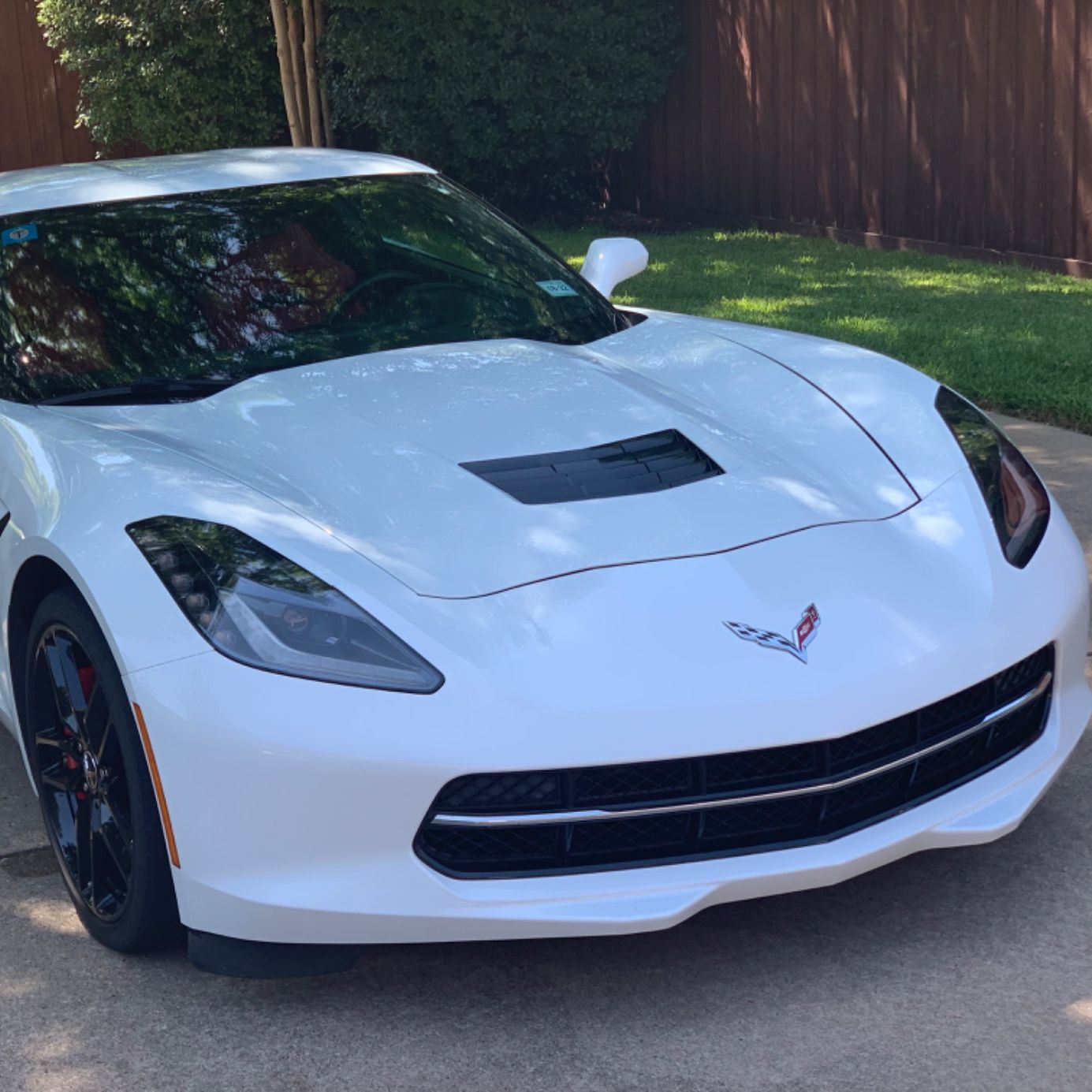 Profile of Ross Samuels