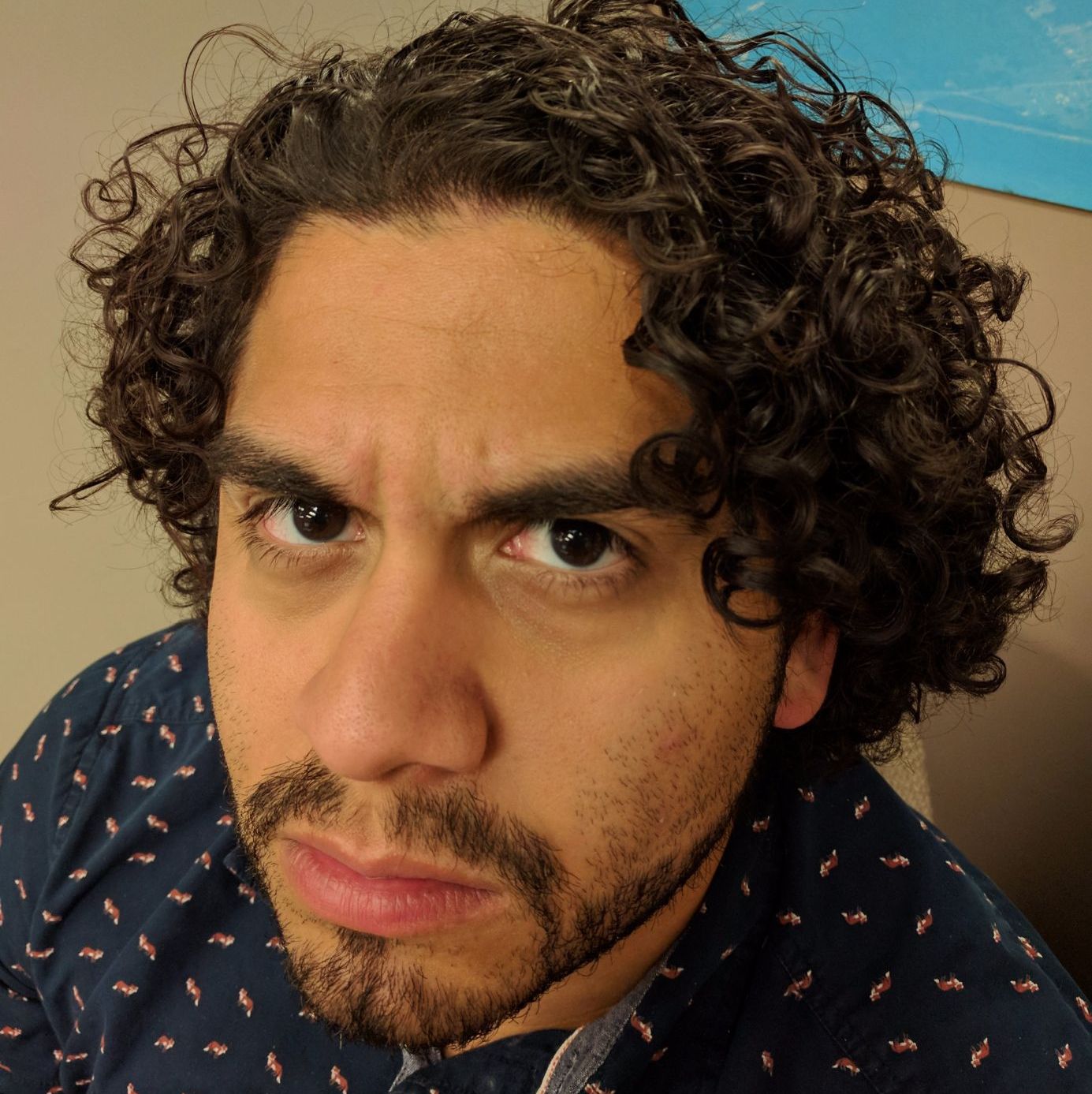 Profile of Luis Colon