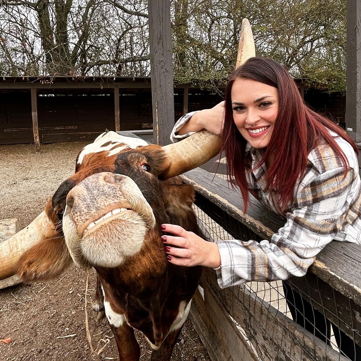 Profile of Amanda Collins