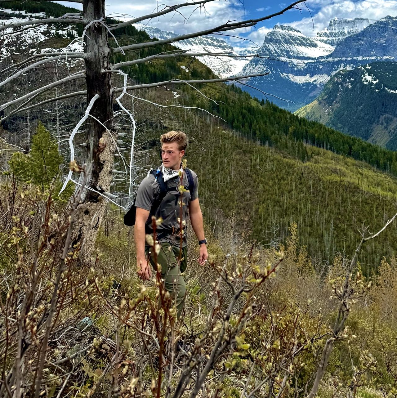 Profile of David Brown