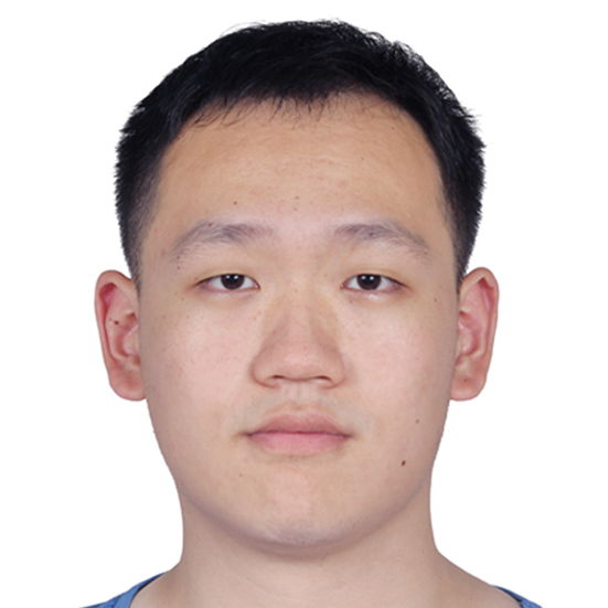 Profile of Hongyu Liu