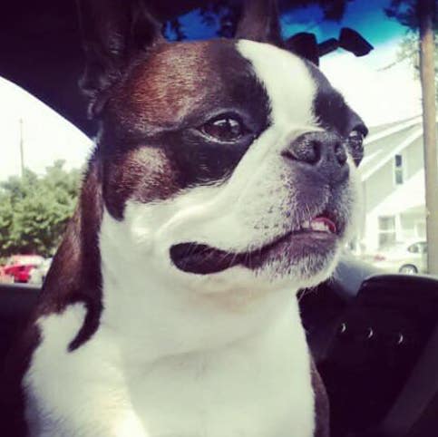 Profile of Richard Richwine