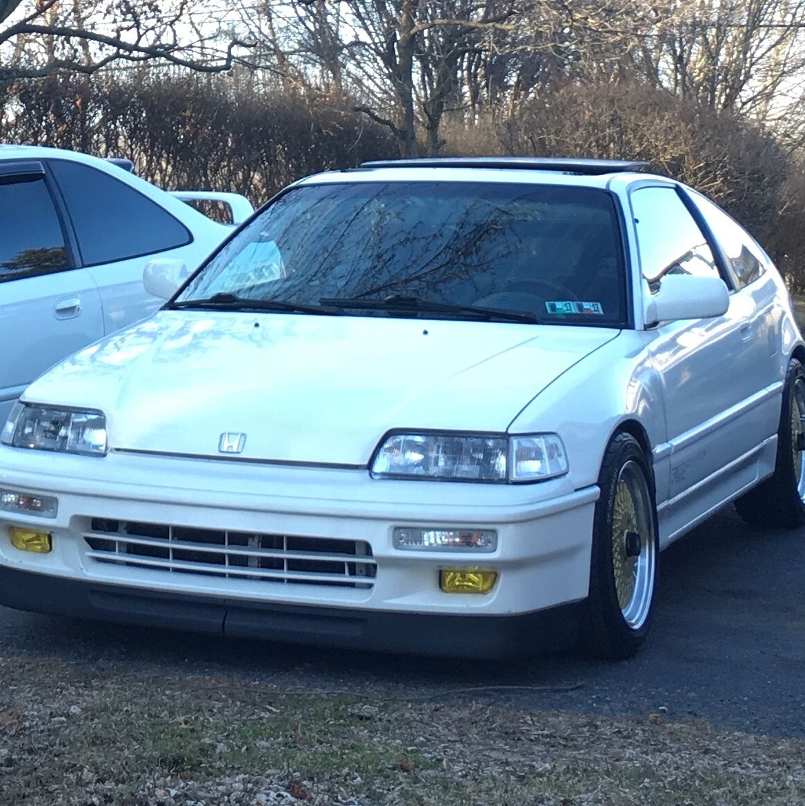 Profile of Freddy Graham II