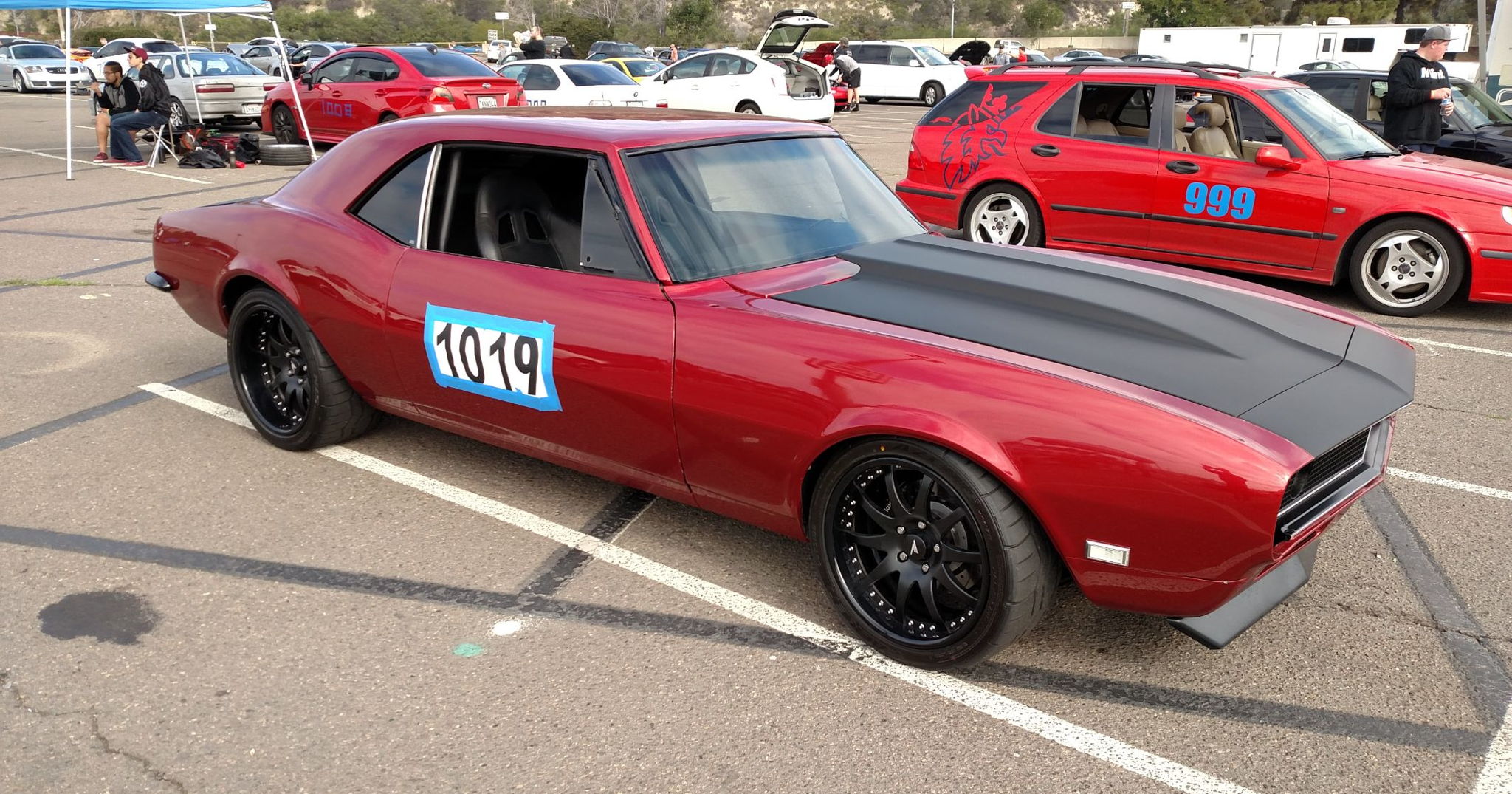 Profile of Tom Tarrant