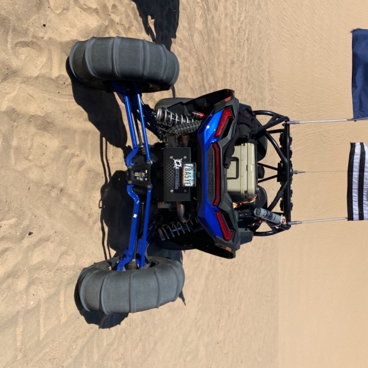 Profile of Skylar McMorris