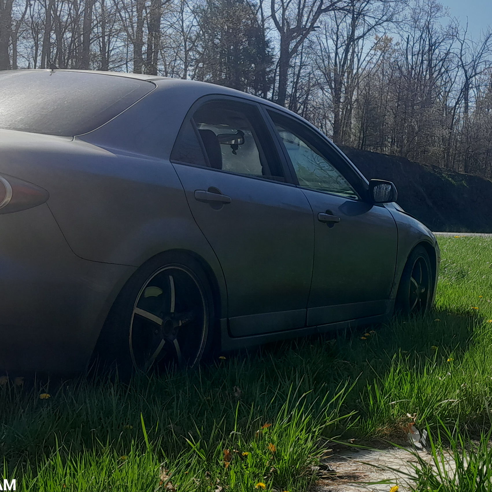 Profile of Zoe Williams