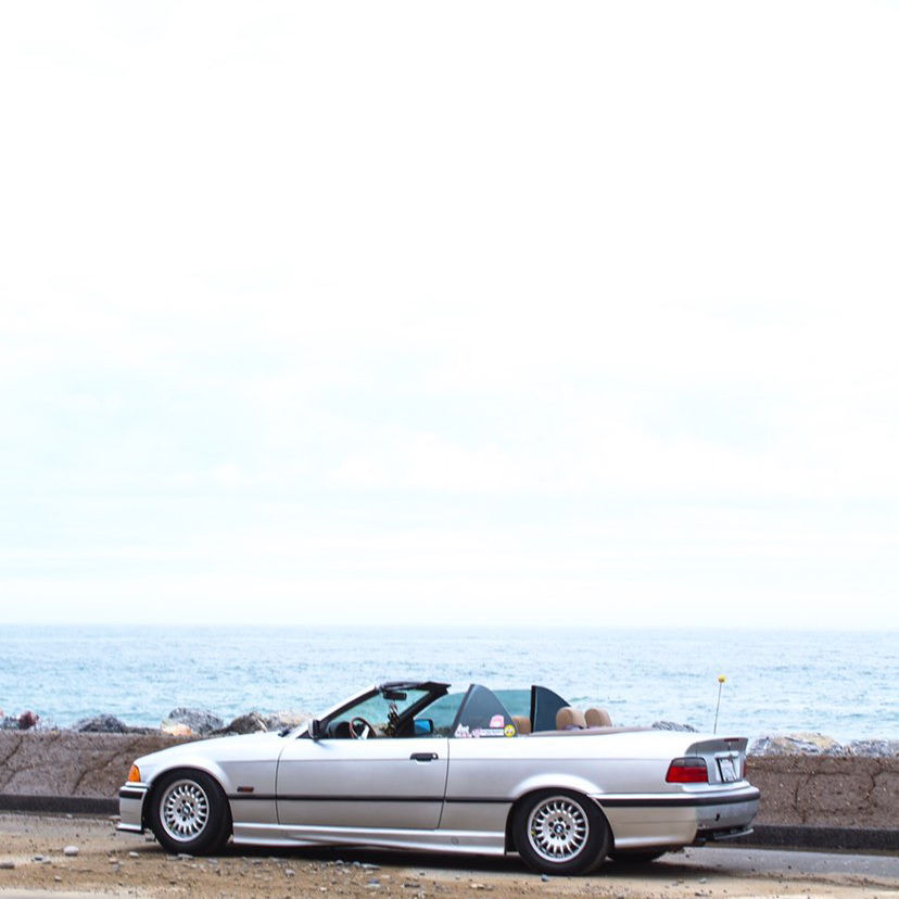 Profile of Daniel Leon