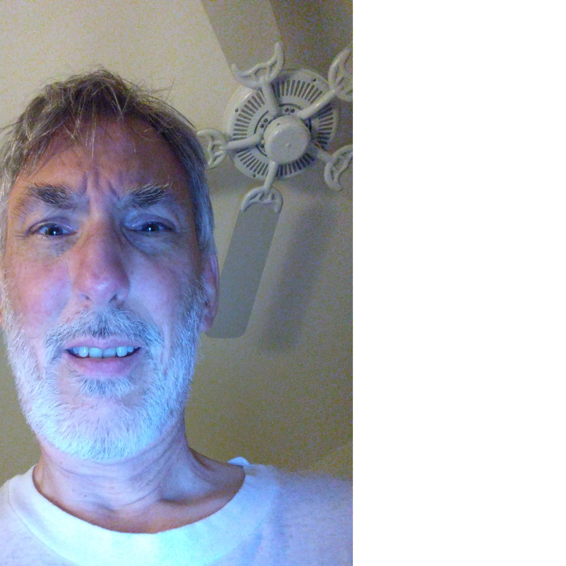 Profile of Dan Remmers
