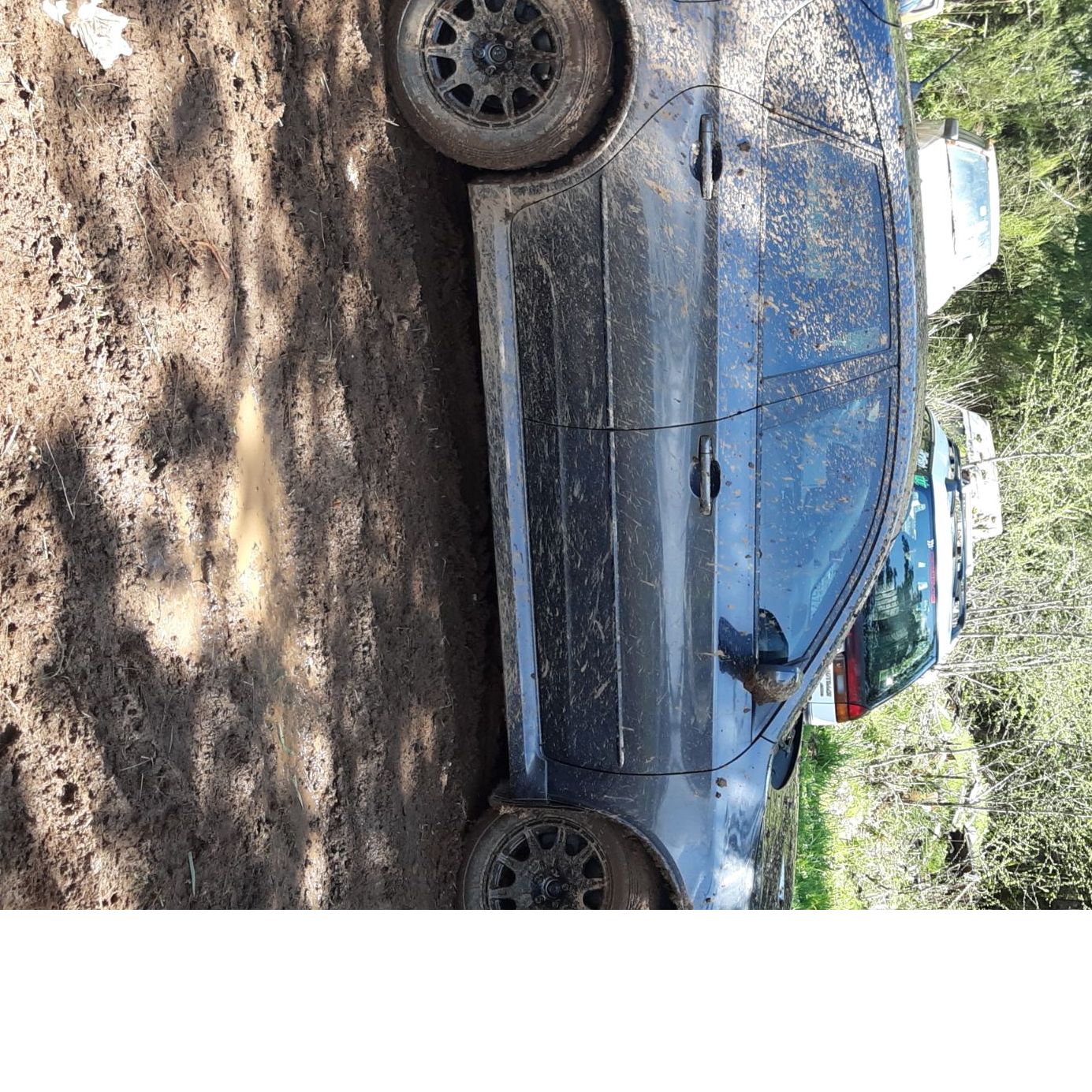 Profile of Charles Sandifer