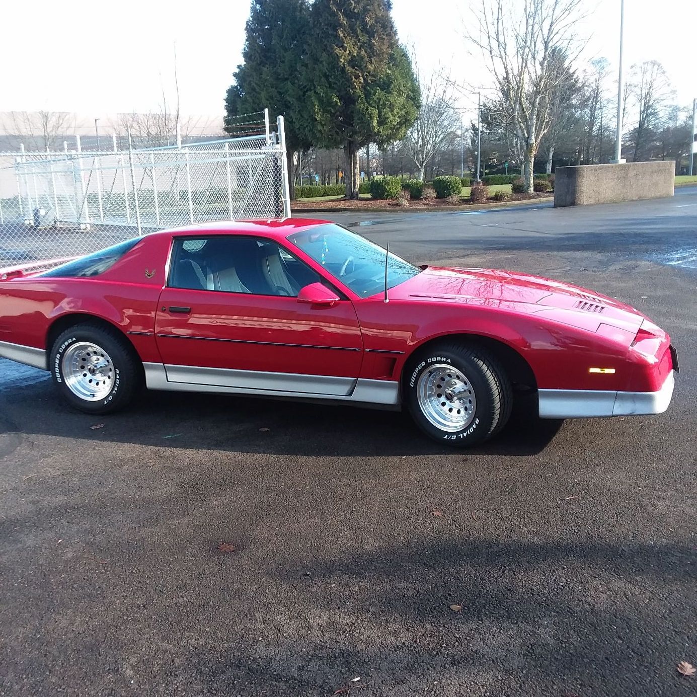 Profile of Zachary Blackburn