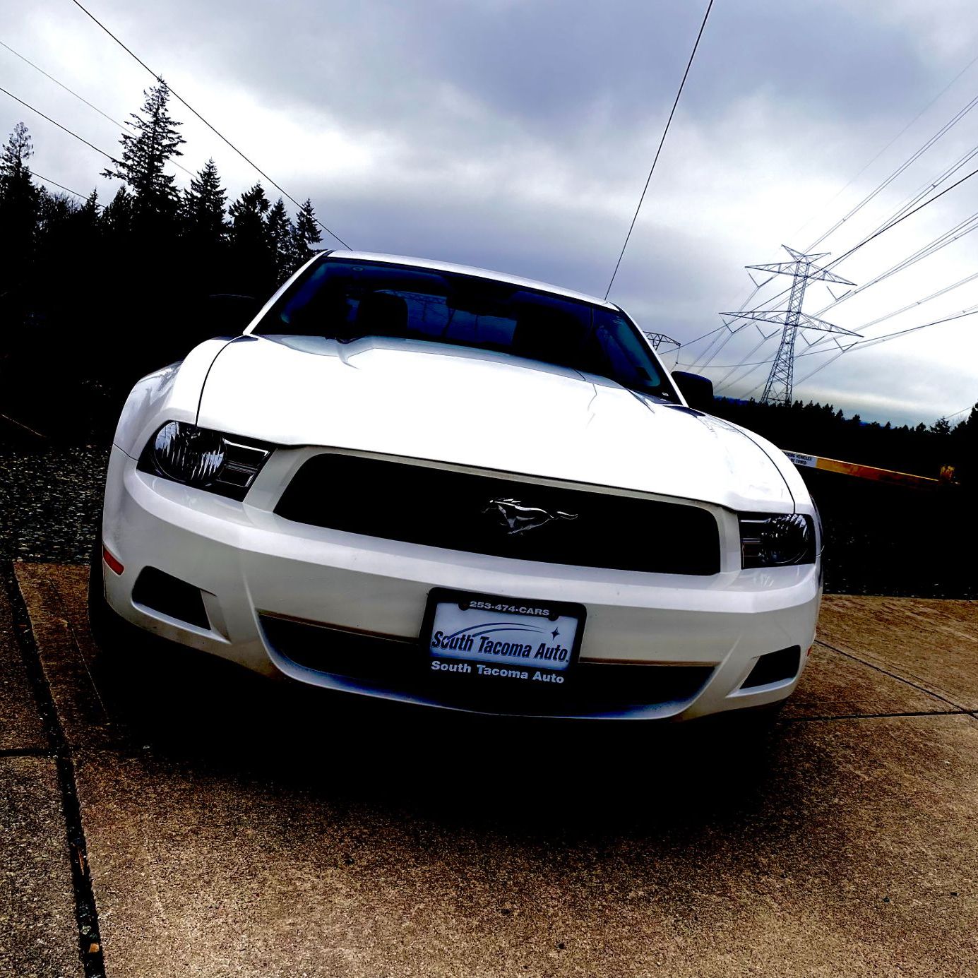 Profile of Luca McNulty