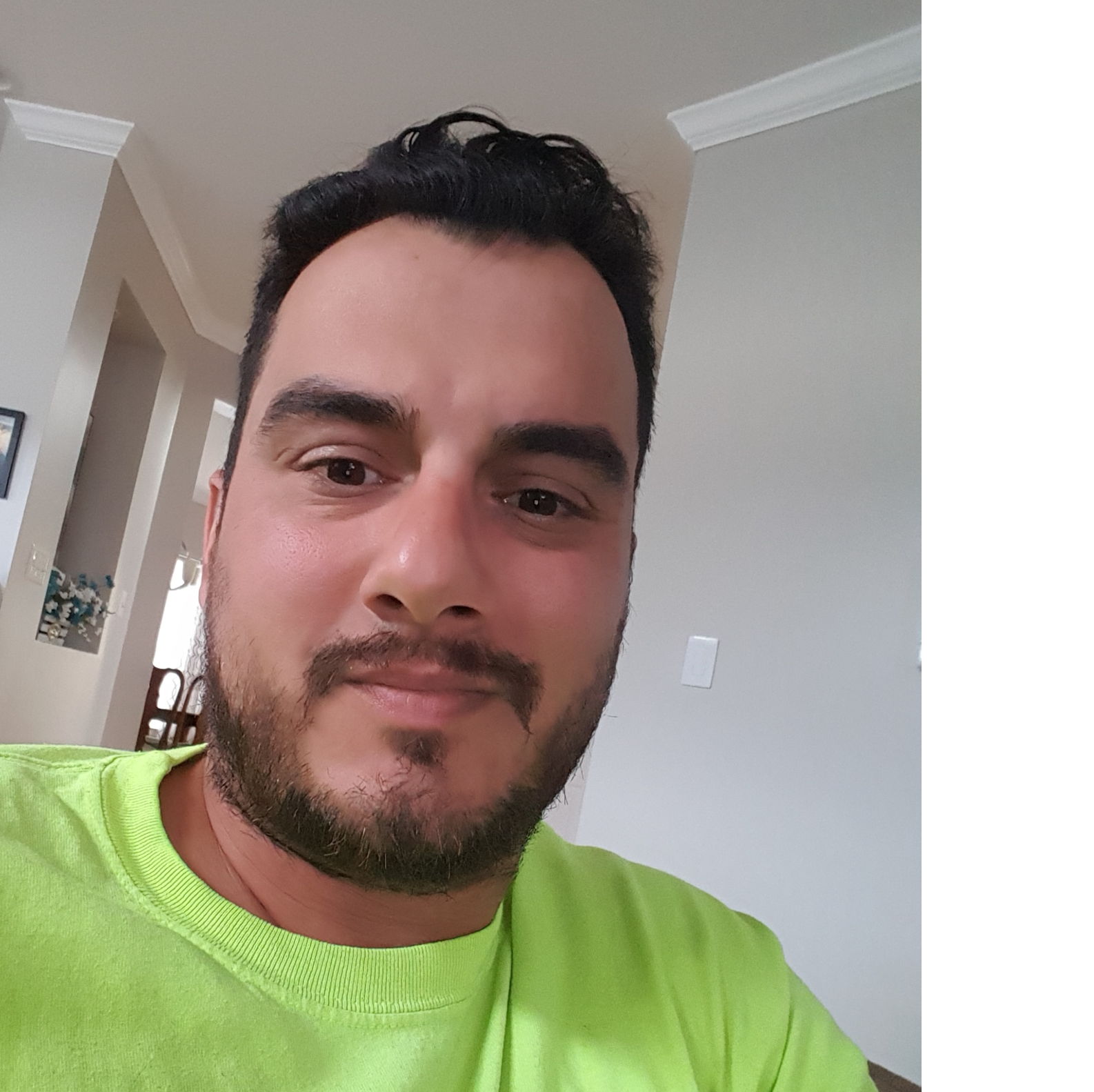 Profile of David Dadvar